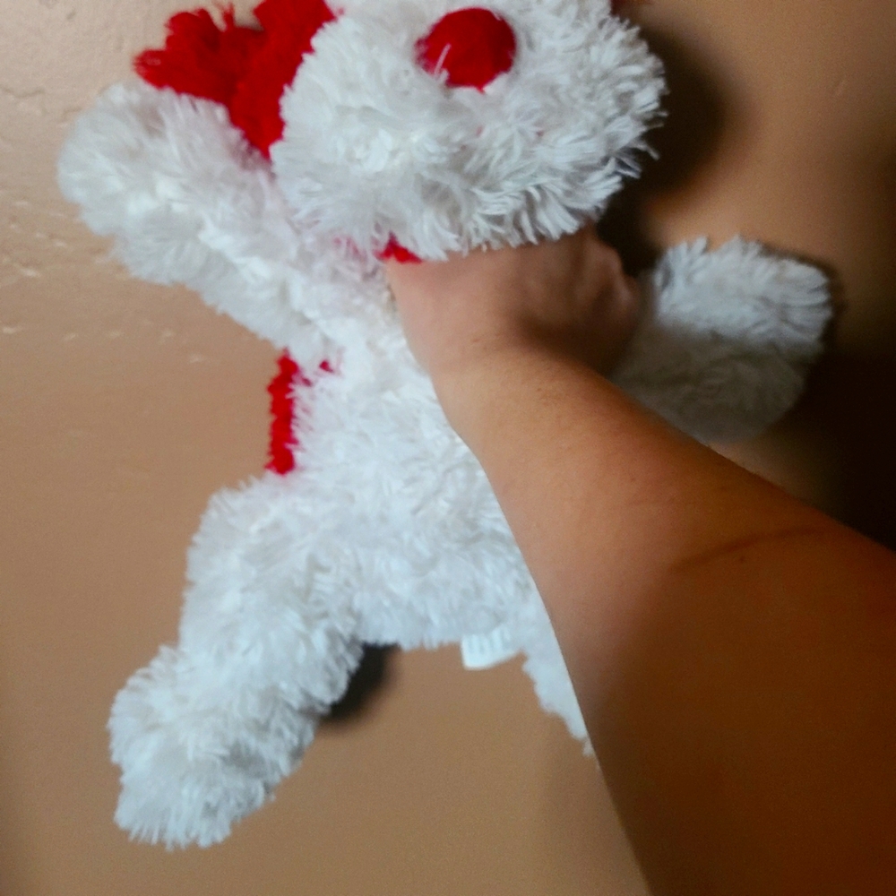 Dog (not biologically) Plush